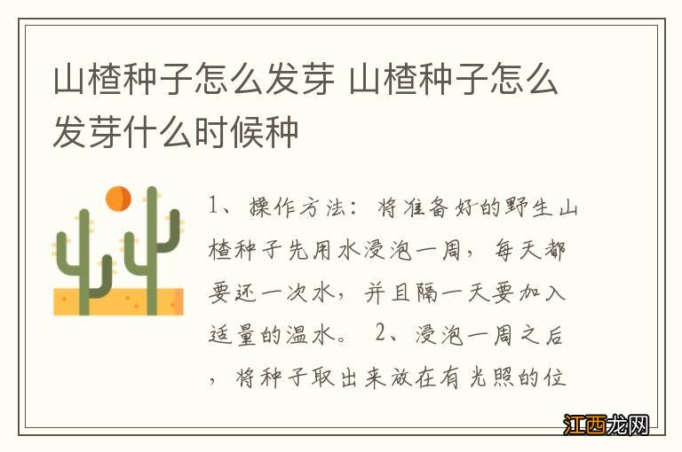 山楂种子怎么发芽 山楂种子怎么发芽什么时候种