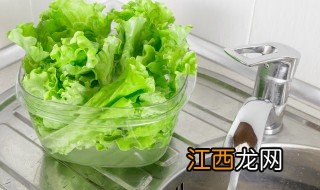 生菜的种植季节 生菜适合种植的月份