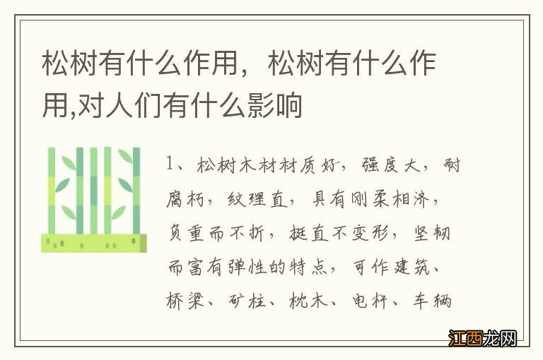 松树有什么作用,松树有什么作用,对人们有什么影响