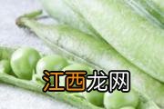 池塘里的菱角能生吃吗 菱角生吃会怎么样