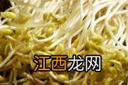 豆芽烂了还能吃吗 豆芽有苦味还能吃吗