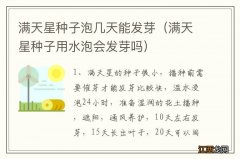 满天星种子用水泡会发芽吗 满天星种子泡几天能发芽