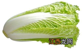 白菜不能和什么