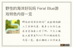 野性的海洋好玩吗 Feral Blue游戏特色内容一览