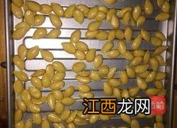烤箱烤南瓜子怎么烤