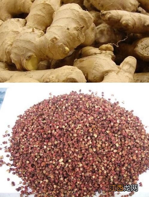 泡菜最长可以泡多久