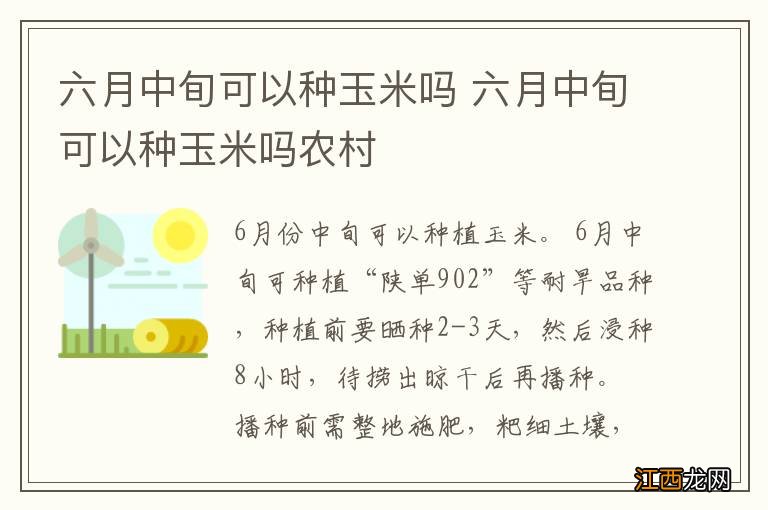 六月中旬可以种玉米吗 六月中旬可以种玉米吗农村