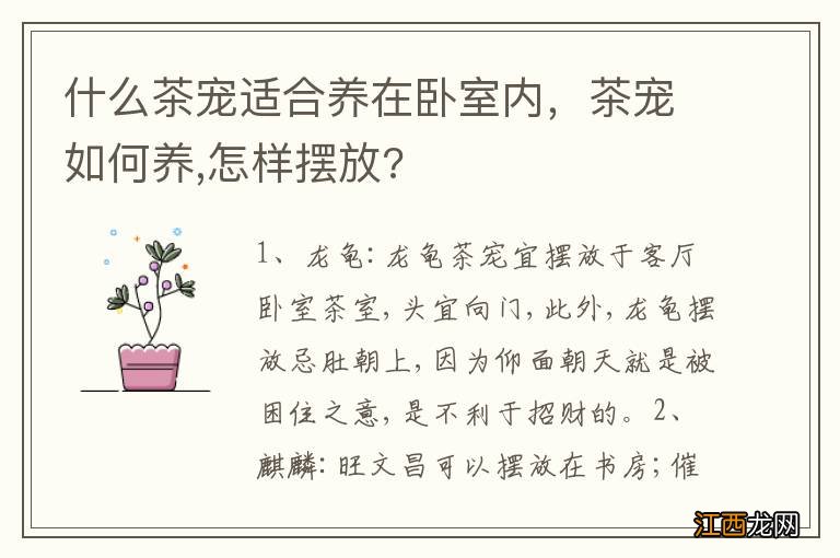 什么茶宠适合养在卧室内，茶宠如何养,怎样摆放?