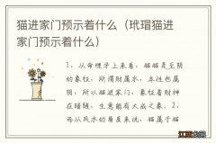 玳瑁猫进家门预示着什么 猫进家门预示着什么