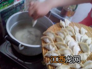 茴香苗加什么菜做饺子好吃