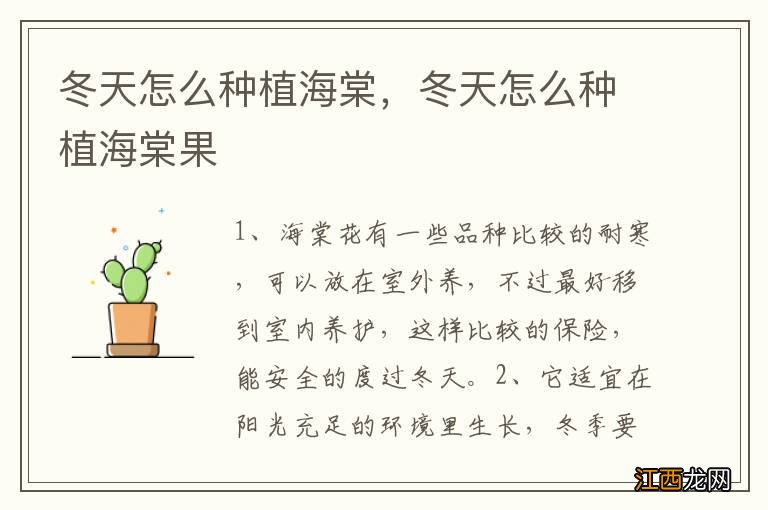 冬天怎么种植海棠，冬天怎么种植海棠果