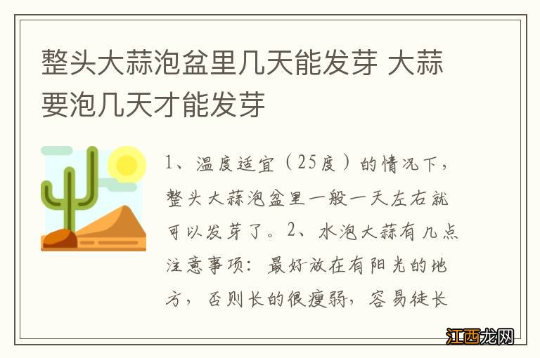 整头大蒜泡盆里几天能发芽 大蒜要泡几天才能发芽