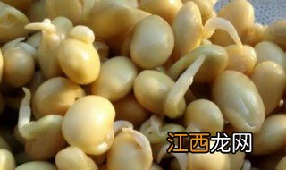 豆子泡几天能发芽 豆子泡几天能发芽吗