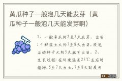 黄瓜种子一般泡几天能发芽啊 黄瓜种子一般泡几天能发芽