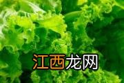 肋眼牛排是牛的哪个部位 肋眼牛排和战斧一样吗