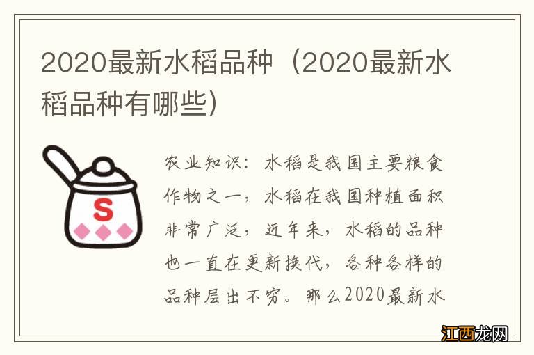 2020最新水稻品种有哪些 2020最新水稻品种