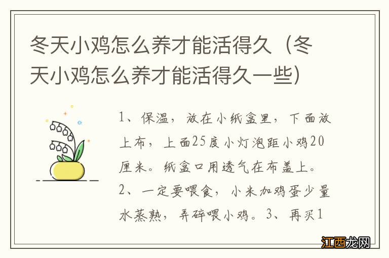 冬天小鸡怎么养才能活得久一些 冬天小鸡怎么养才能活得久