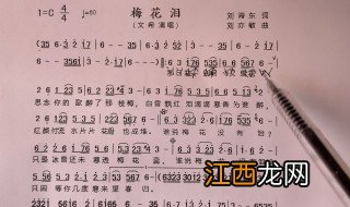 梅花泪歌词简谱 梅花泪歌词简谱是什么