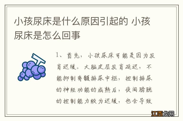 小孩尿床是什么原因引起的 小孩尿床是怎么回事