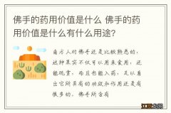 佛手的药用价值是什么 佛手的药用价值是什么有什么用途?