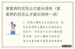 家里养的花怎么才能长得快一点 家里养的花怎么才能长得快