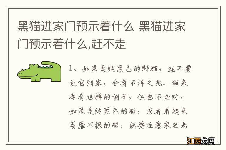 黑猫进家门预示着什么 黑猫进家门预示着什么,赶不走