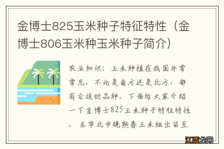 金博士806玉米种玉米种子简介 金博士825玉米种子特征特性