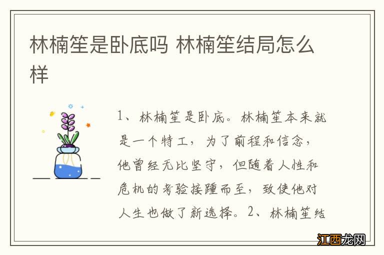 林楠笙是卧底吗 林楠笙结局怎么样