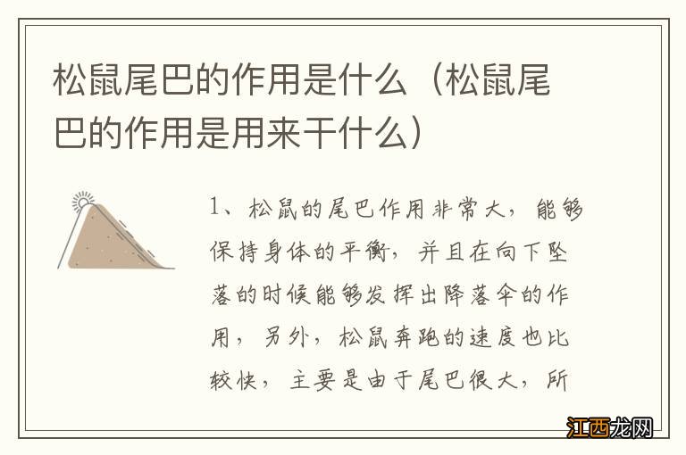 松鼠尾巴的作用是用来干什么 松鼠尾巴的作用是什么