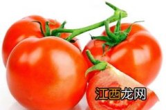 西红柿和什么菜可以一起吃