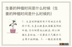 生姜的种植时间是什么时候的 生姜的种植时间是什么时候