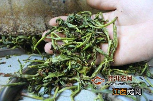 茶叶水仙怎么泡