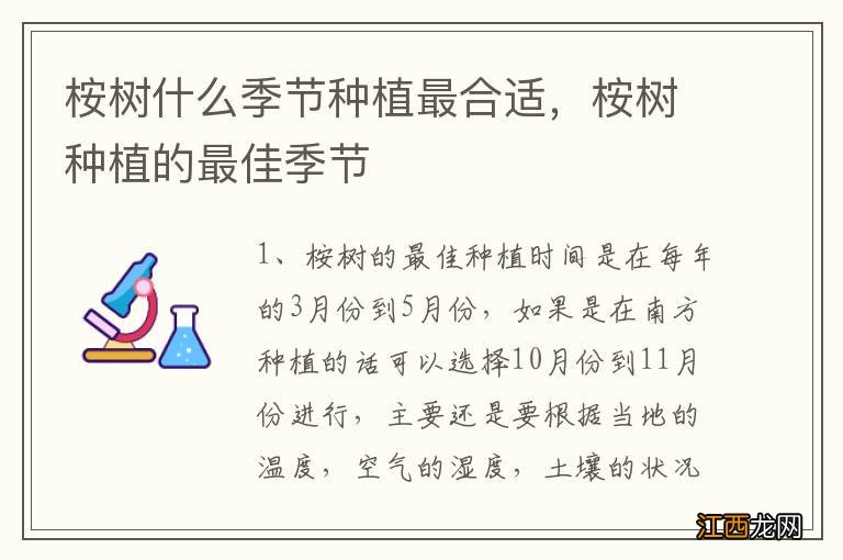 桉树什么季节种植最合适，桉树种植的最佳季节