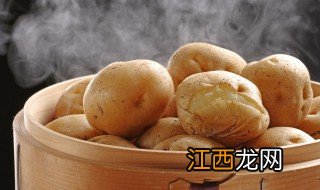 土豆几月份种植? 土豆几月份种植