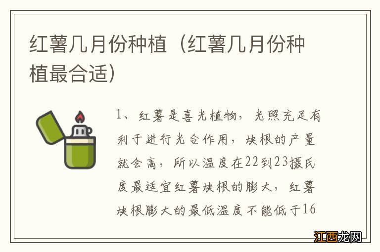 红薯几月份种植最合适 红薯几月份种植