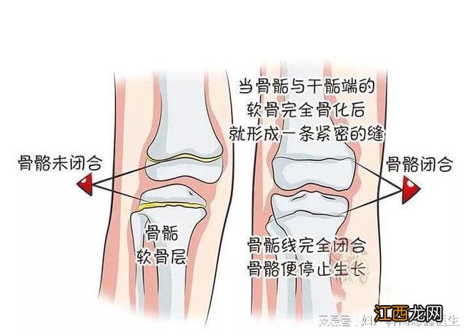 补钙能长高？有没有科学依据？