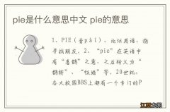 pie是什么意思中文 pie的意思