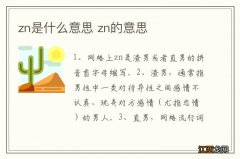 zn是什么意思 zn的意思