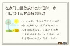 在家门口摆放放什么树旺财，家门口放什么树最好最旺财