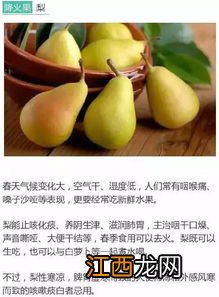 春季学生吃什么不上火