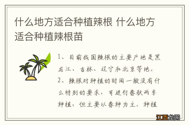 什么地方适合种植辣根 什么地方适合种植辣根苗