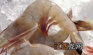 元宝虾和北极虾的区别 元宝虾和北极虾有什么区别