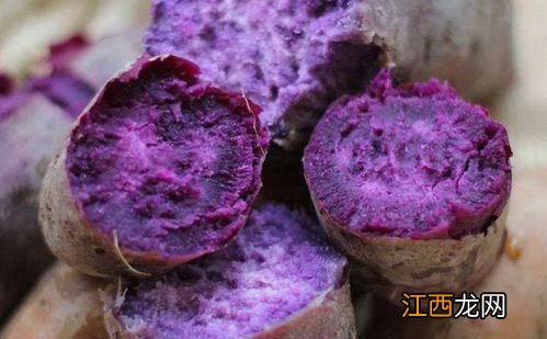 紫薯煮熟后可以放多久