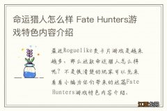 命运猎人怎么样 Fate Hunters游戏特色内容介绍