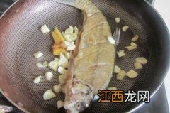 什么鱼爱吃叼子鱼