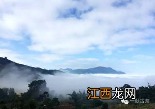 古六大茶山怎么样