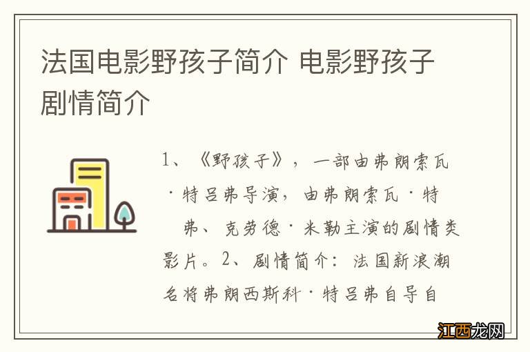 法国电影野孩子简介 电影野孩子剧情简介