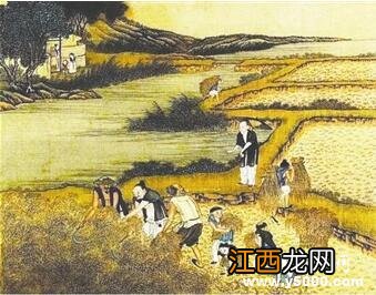 鲁国实行初税亩,这一税制改革 鲁国实行“初税亩”的制度