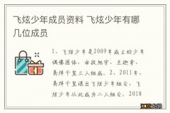 飞炫少年成员资料 飞炫少年有哪几位成员