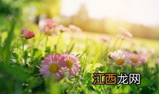 唯美网名清新简短 唯美网名清新